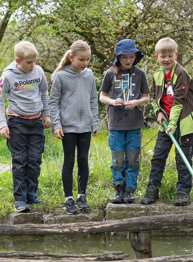 Kinder erforschen mit Käscher an Tümpel die Natur 