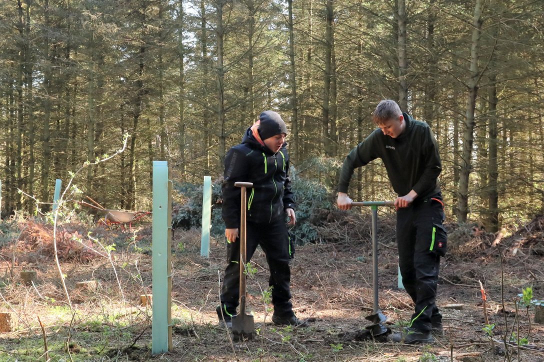 Jugendliche mit Werkzeugen im Wald im Rahmen der Woche der Nachhaltigkeit bei Don Bosco Sachsen 