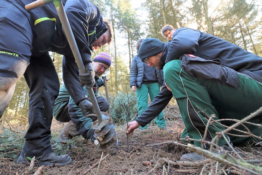 Fachleute und Jugendliche bei einer Pflanzung im Rahmen des Monats der Nachhaltigkeit bei Don Bosco Sachsen 