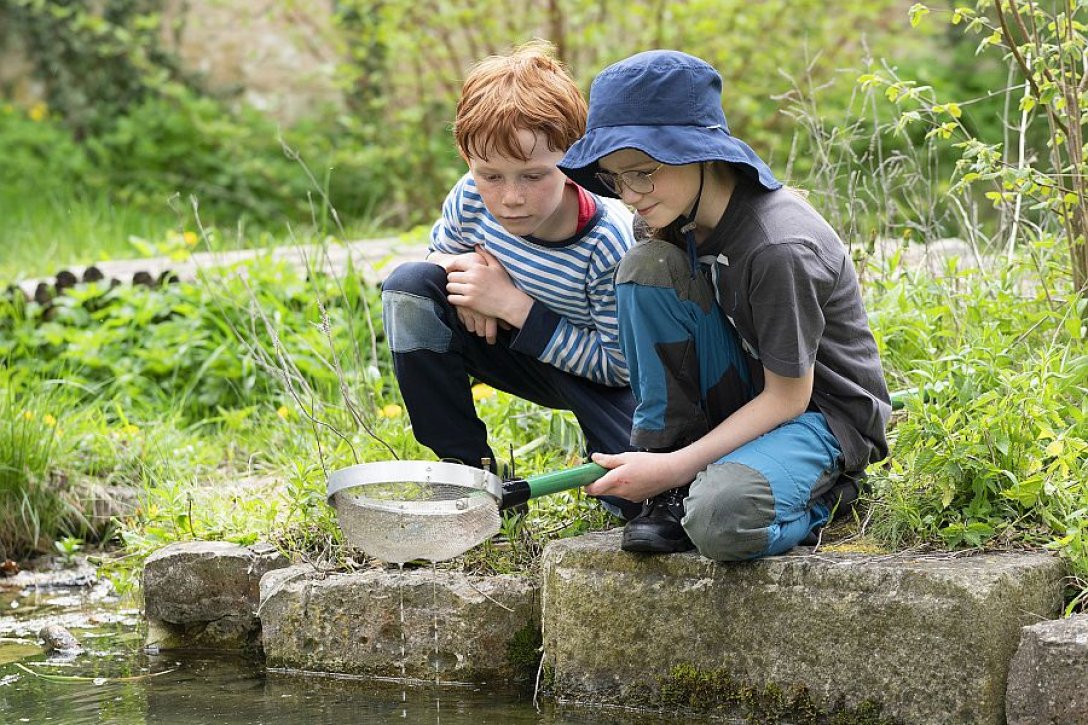 Zwei Kinder mit Käscher erforschen die Natur an einem Tümpel